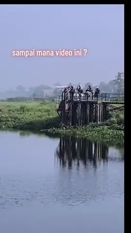 satu ikan muncul , serempak langsung bergerak. tinggalkan komentar yaa🫡 #paserikan  #pasermania  #mancing  #fyp  #follow 