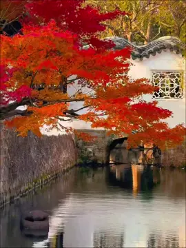 Hoàng hôn có hẹn với chân trời, còn tôi có hẹn với một đời bình an #traveltiktok  #travel  #china  #autumn 