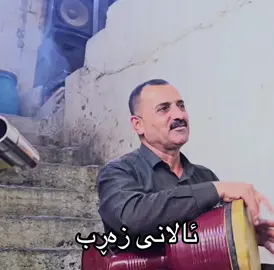 ئالانی زەڕپ❤️🎶🥰#گۆرانی #foryou #سلیمانی #arox_09 #kaniba 