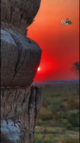 قاسم ابوعامر📸 ركض بيه العمر ركضت مجانين 💔😓#تصويري #تصويري_احترافي_الاجواء👌🏻🕊😴 #جواد الساعدي#اغاني #موال حزين