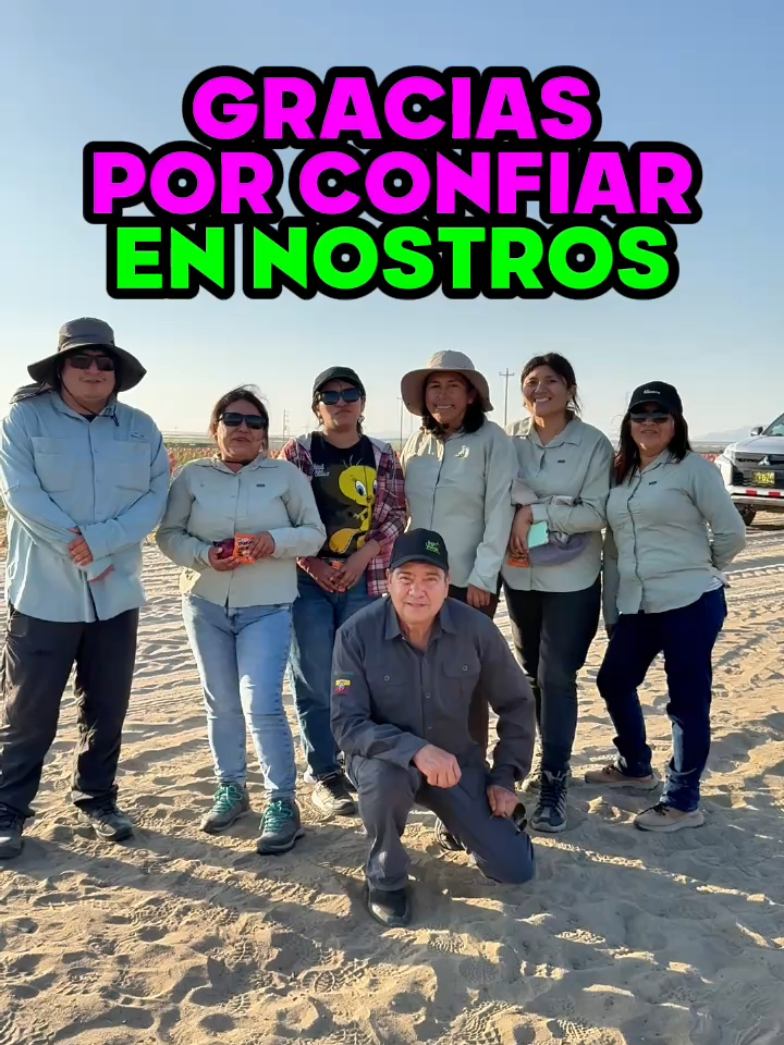 #IngeNan #riobamba_chimborazo_ecuador #plantas #ecuadortiktok #agricultura🚜🌱 #agroverdeec #agronomia #cebolla #organico #cultivo #tip