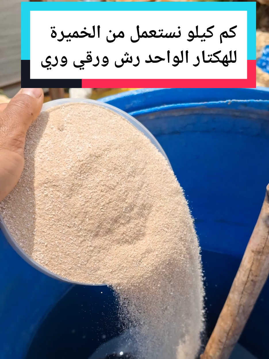 كم كيلو نستعمل من الخميرة للهكتار الواحد رش  ورقي او ري وطريقت استعمل الصحيحه للحصول على إنتاجية عالية معا جميع النبتات 💯 طريقة زراعة الشمام تسميد الشمام زراعة البطيخ الأصفر طريقت تسميد الخيار السمدة للخيار  طريقة صمد الخيار زريعه الخيار درجا ازي اسمد الخيار طريقة تسميد البيذنجان طريقة تسميد الفلفل طريقة تسميد البندوره طريقة زراعة امراض البندوره امراض الخيار امراض البيذنجان امراض الفلفل أسباب تصاقط ازهار #عالم الزراعة #الزراعة السهلا #اسرار الزراعة #الزراعة_البندورة #زراعة الخيار  زراعة البندوره  زراعة الخيار  زراعة الفلفل  زراعة البيذنجان  المنزلية  الشمام  زراعة الشمام  البطيخ الأصفر 