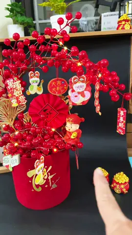 Sét chậu đào đông tết rất đẹp anh chị ơi. #setdaodong #daodong #phukientet #tet2026 #tet 