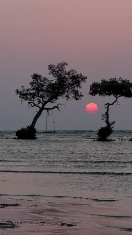 #سعيدة_الصوالحة 