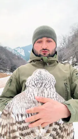 Совушка кайфушка#любовь❤ #совушка #обнимашки #топ #алматы 