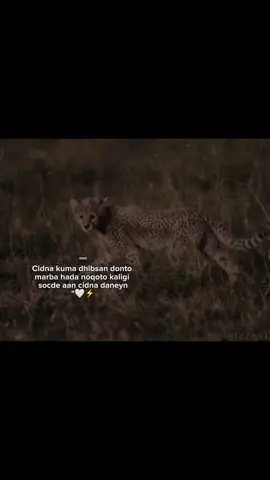 🔥🤍 #videoviral #Z4ck..15