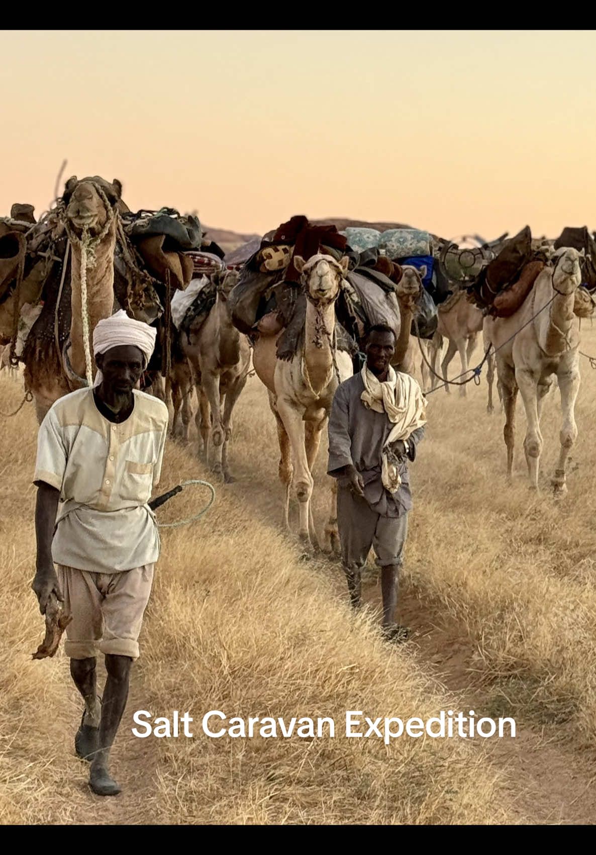 In northern Chad, salt is still carried for weeks by camel caravan. No roads, no GPS. Just guides, wells and the stars. #sahel #chad #desertlife #nomadlife #tchadien🇹🇩tiktok 