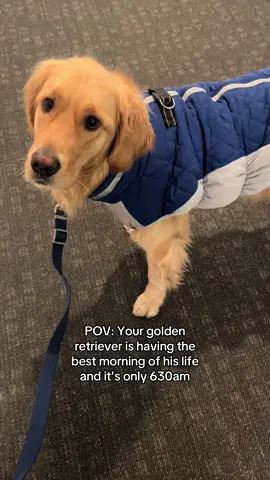 Best combo of his life 