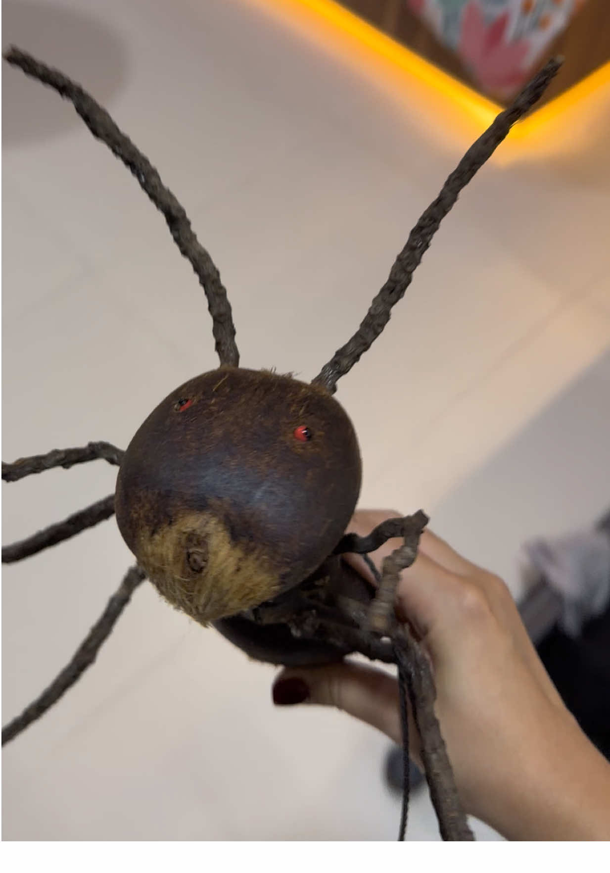 ស្មានកូនចូលចិត្ត ខំទិញផ្ញេីរ 😆 ( ស្រមោចធ្វេីពីរផ្លែត្នោត )