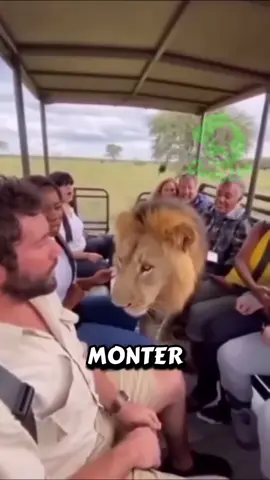 Sacré prank sur ce chien #chien #omertachinoise #humour 