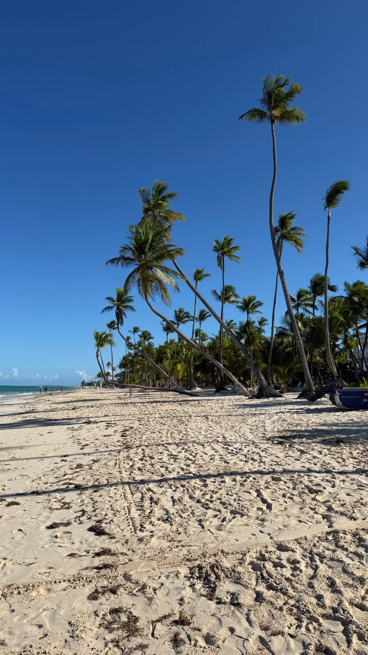 un lugar hermosooo !! #puntacana #dominican #vacaciones 