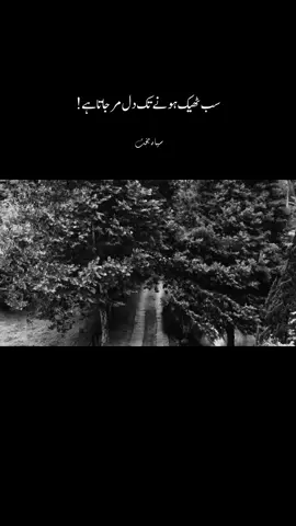 سب ٹھیک ہونے تک دل مر جاتا ہے  #foryoupage #foryou #fyp 