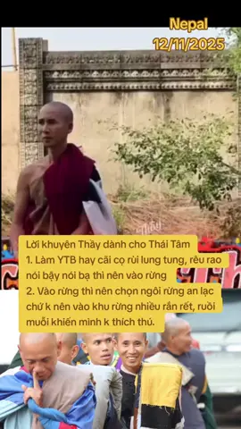 Lời khuyên Thầy dành cho Thái Tâm #hoacuaphat #masterminhtue #thayminhtue #monkminhtue 