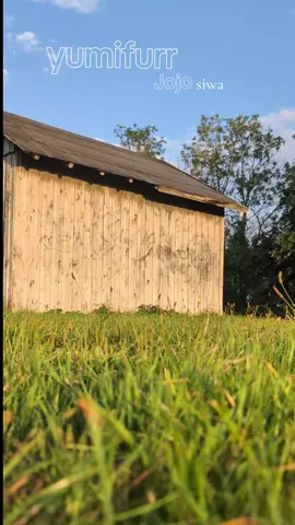 I love it as the sun shines there🔥 @Jojo🎀 ---> She deserves a lot more Follows!!!   Thanks Jojo Siwa for be a part of the video I love the video and spending time with you >:3 #therian #alterhuman #quads #furrytherian #fyp 