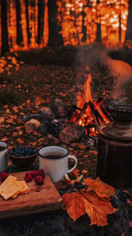 🧕🍫🦋ሸር 🤌🥰