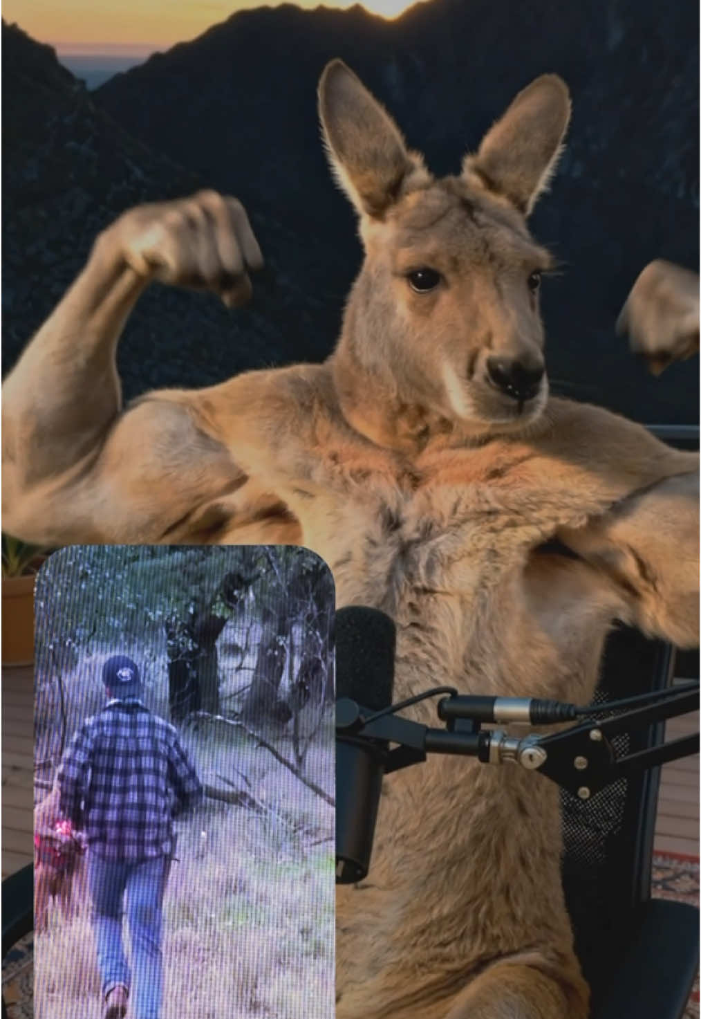 بودكاست الكنغر أبو دواس #الطايف #بودكاست #fyp 