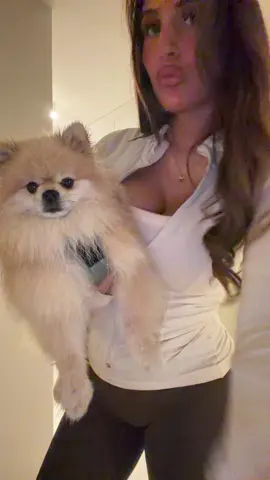 🌧️🌧️🐶🐶