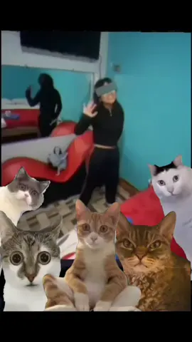 casting Perú 🇵🇪  #fypシ゚ #casting #peru🇵🇪 