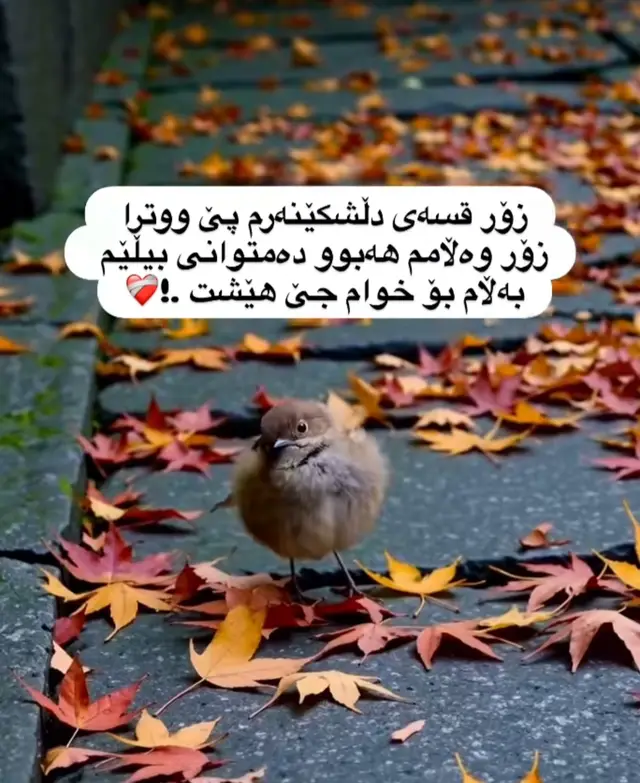 #🥀💔😔 #ماندووم_بةلام_بةردةوامم😢💔لەژیان🥀 