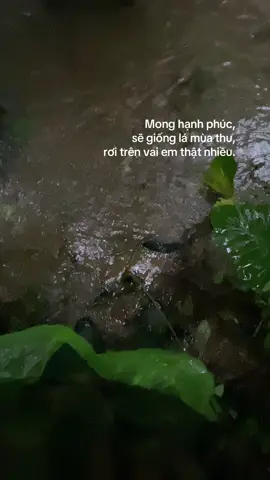 Hoàn thành diễn tập rồi 