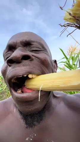 #ahoufe_ #viral #trending #fyp #trend 