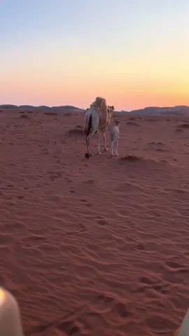 #بدون_هشتاق #