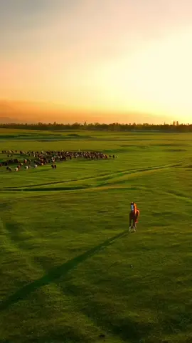 #سبيستون #سبيستون_قناة_شباب_المستقبل 