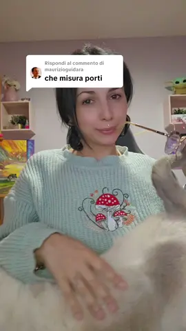 Risposta a @maurizioguidara 