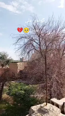 #🥺🥺🥺🥺🥺🥺🥺🥺🥺🥺🥺🥺🥺🥺🥺🥺🥺🥺🥺🥺🥺🥺🥺🥺🥺🥺🥺🥺🥺🥺🥺🥺🥺🥺🥺 