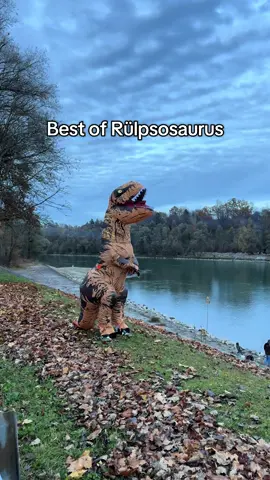 In 2 Wochen schon fast 2000 Follower danke leute🥹 #rosenheim #comedy #trex #rülpsen #hobbyhorse 