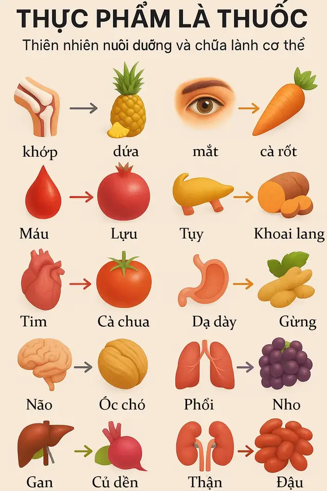 Thực phẩm là thuốc nếu bạn ăn đúng cách. Thiên nhiên nuôi dưỡng và chữa lành cơ thể.#creatorsearchinsights #dinhdưỡng #tipshealthy #healthyvn #tiktokpicture 