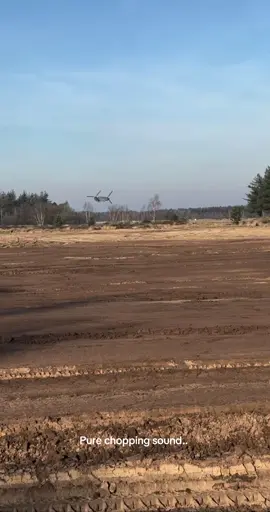 No music just pure wokka ..! #wokka #chinook #fyp #helicopter 