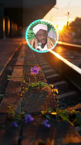 like saar#shiikhsaalaxmacalimcabdulaahi #fouryoupage_tiktok_ #fouryou #سعدون_حمادي #viraltiktok 