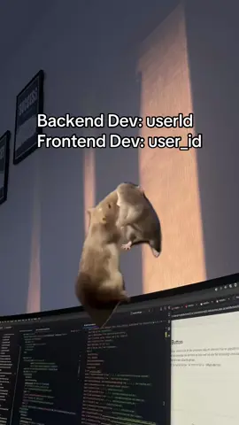 Lets see who win 🐹 ⛏️#Meme #MemeCut #dayinthelife #frontend #backend 