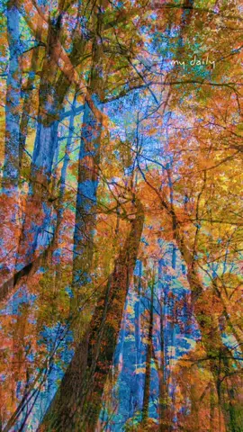 #fyp #Otoño #bachata 