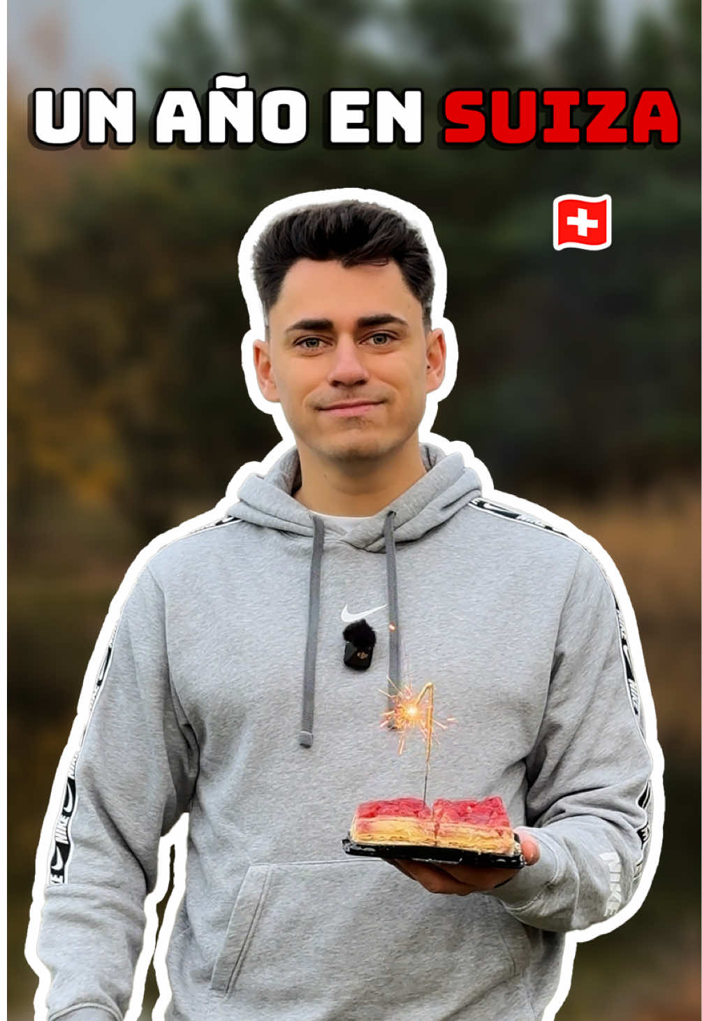 Mi primer año en Suiza  #zürich #suiza #trabajo 