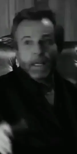 🕸　　 　🕷　　　 🕸 　　 　　