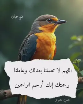 •غريب الدار•😴