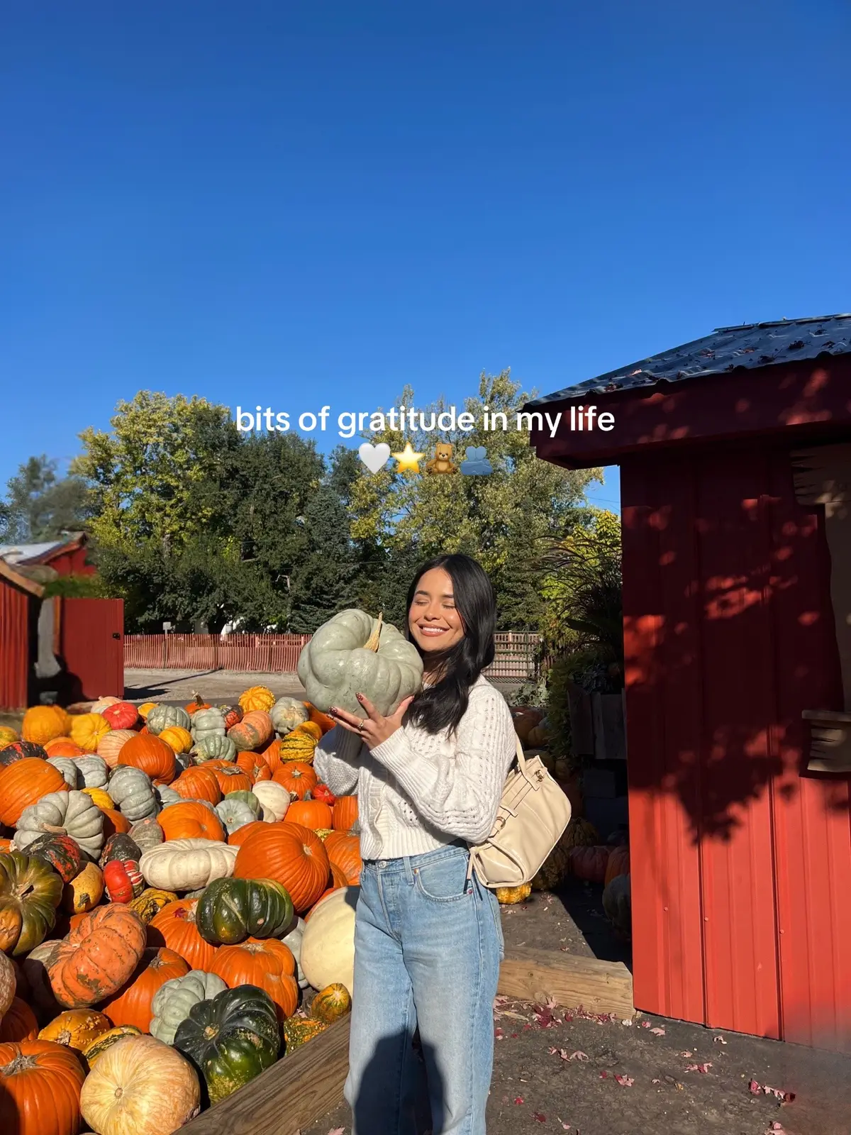 the month of November is a time to stop and take in all that you have, express gratitude for it all and just give yourself grace for all the good in life. #gratitude #gratefulheart #stopandsmelltheroses #LifeIsGood #thislittlelife 