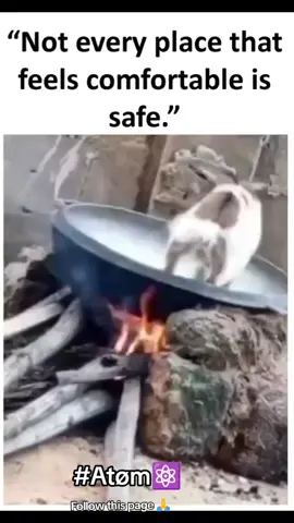 Not that every place that feels comfortable is home #lifelesson #problemsolving #successmotivation #positivity 