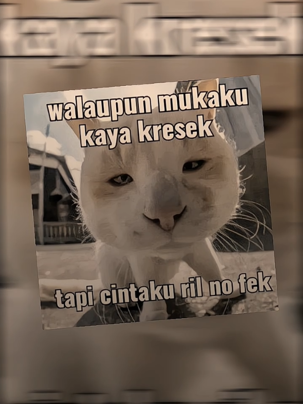 ril no dek brokk🤪🤙#masukberandafyp #hamzzpk #trendingvideo #fyp #fyppppppppppppppppppppppp 