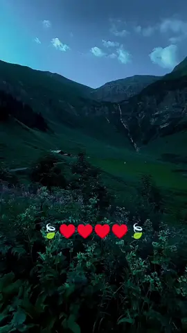 جزء54|دخيل الله يجن شوكة | لايك وتعليق حلو مثلك 🤍🤍#تصميم_فيديوهات🎶🎤🎬  #عبارات #fyp #اجدابيا #fypシ 