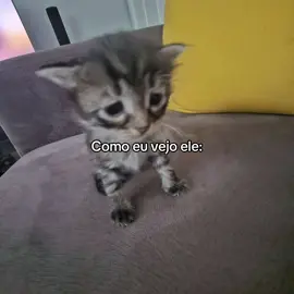 É ele #foryou #fy #viral #viraliza #creatorsearchinsights @Matheus 