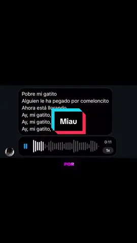 Помурлыкали, теперь помяукаем💍🐈‍⬛ #cover #fyp #montagem #miau #viral 