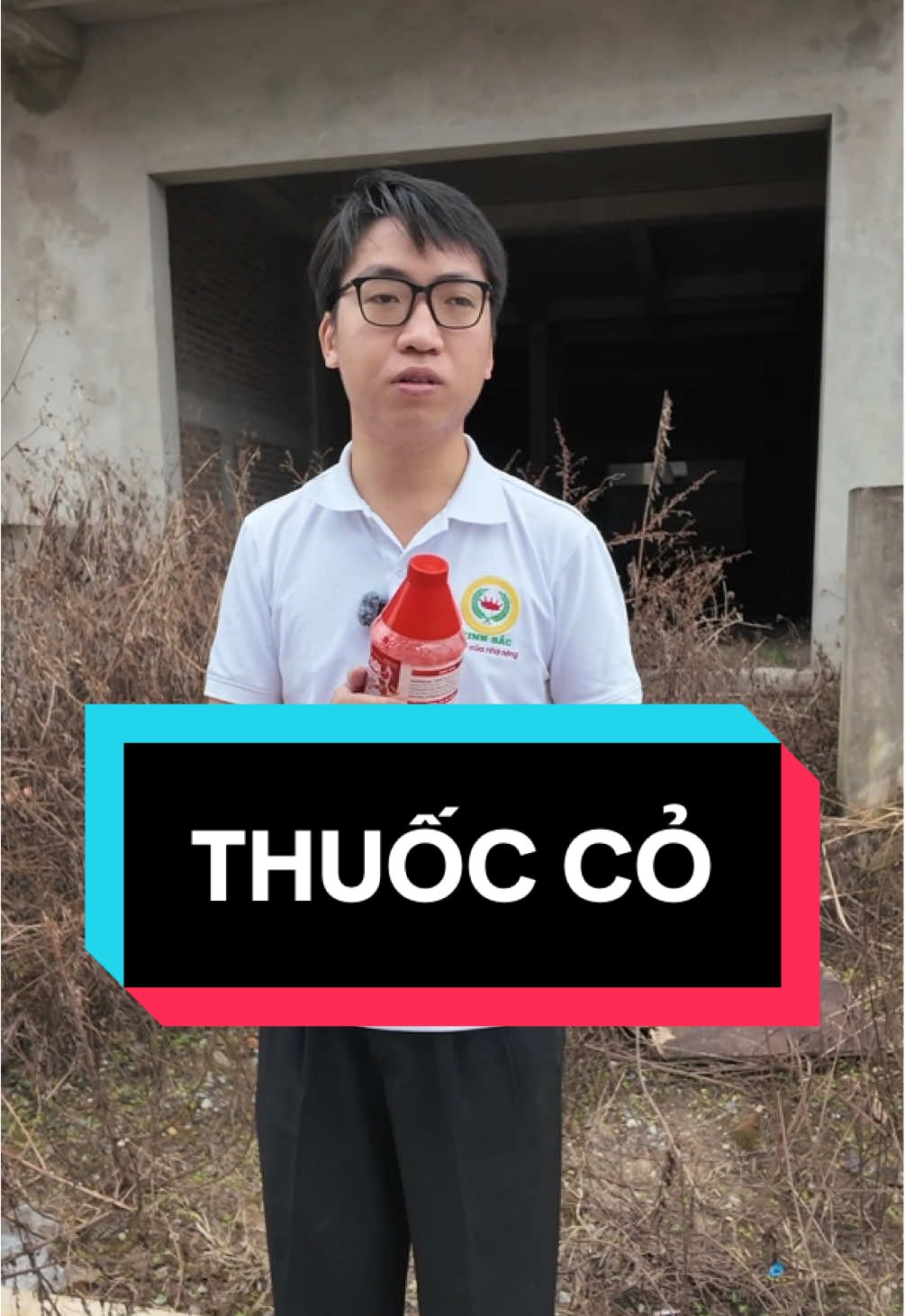 Thuốc cỏ lưu dẫn! Không lo cỏ mọc lại! Bấm vào góc trái để nhận ưu đãi của nhà Kinh Bắc! #thuocdietco #thienloidietco #xuhuong 