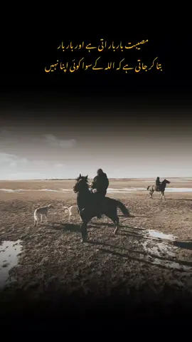 #ازبک_تاجک_پشتون_ترکمن_هزاره_همه_برادرن #frind #dost #unfreezemyacount #viral #fyp #viralvideos #for #creator 