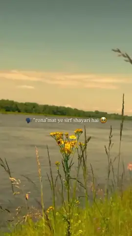 Hayeeeee🥹♥️🔥🫰