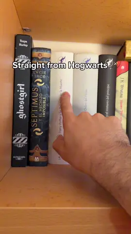 So.. Which one do we choose? I refuse to pick the book 🥸👀 #harrypotterfans #harrypotterdecor #roomaesthetic #potterhead #hogwarts 