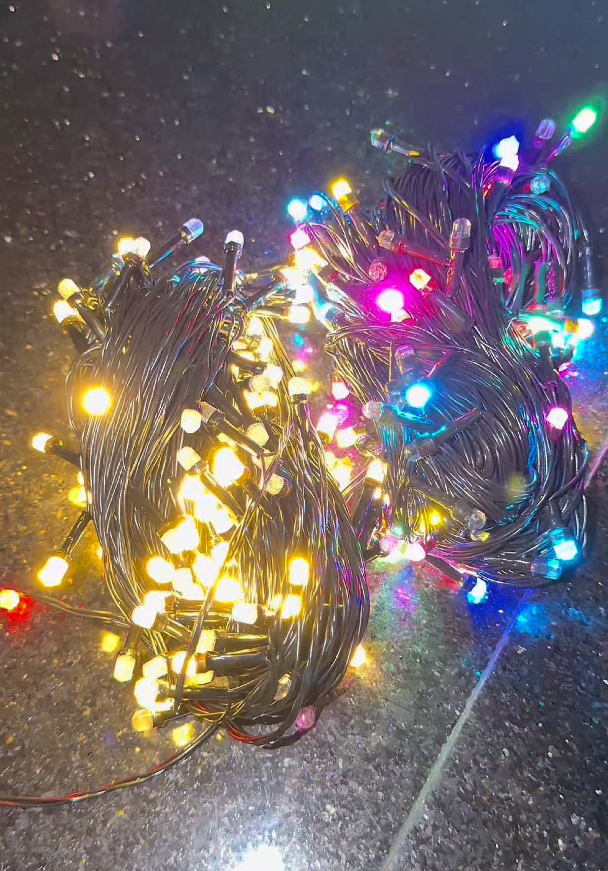 Combo 2 dây đèn led trang trí tết,Noel ##emkieutaphoa##denled##denledtrangtri##denledtrangtringoaitroi##denledtrangtritet