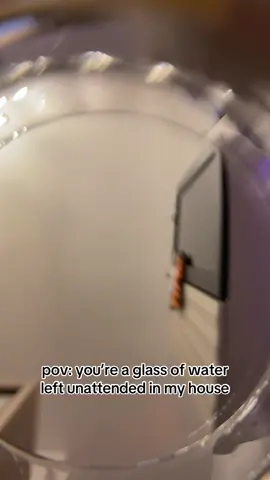 sorry not sorry #puppylife #lovewater #bichon 